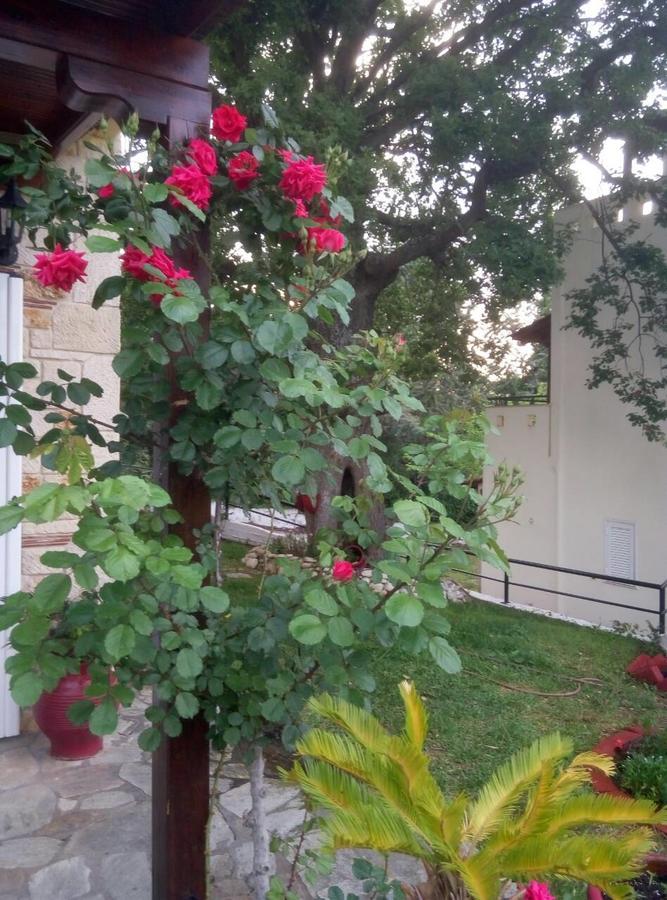 Paradise Kriopigi Exterior foto