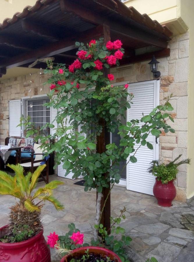 Paradise Kriopigi Exterior foto